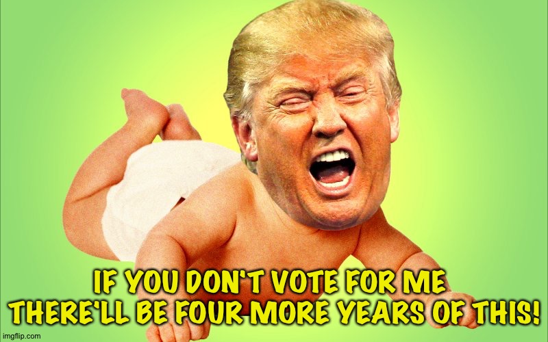 Cry baby Trump | IF YOU DON'T VOTE FOR ME 
THERE'LL BE FOUR MORE YEARS OF THIS! | image tagged in cry baby trump | made w/ Imgflip meme maker
