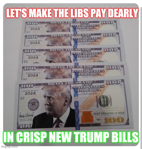 MAKE THEM PAY | LET'S MAKE THE LIBS PAY DEARLY; IN CRISP NEW TRUMP BILLS | image tagged in libtards,finished,vote,president trump,republican party | made w/ Imgflip meme maker