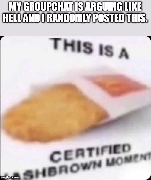 Hashbrown moment | MY GROUPCHAT IS ARGUING LIKE HELL AND I RANDOMLY POSTED THIS. | image tagged in this is a hashbrown moment | made w/ Imgflip meme maker