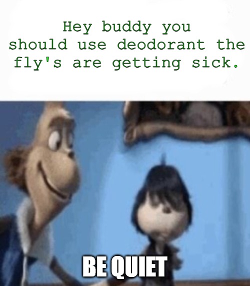 Hey buddy you should use deodorant the fly's are getting sick. BE QUIET | image tagged in hey buddy | made w/ Imgflip meme maker