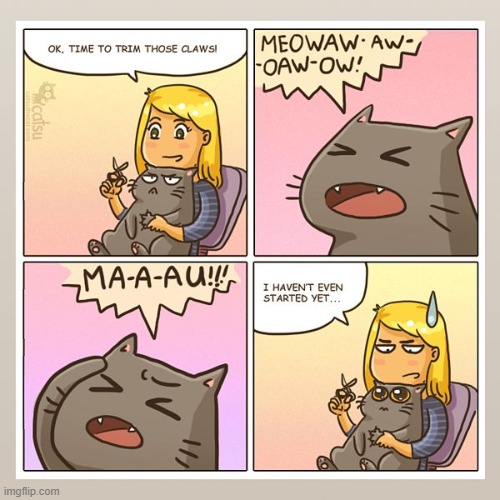Cats exaggerate all the time -_- | made w/ Imgflip meme maker