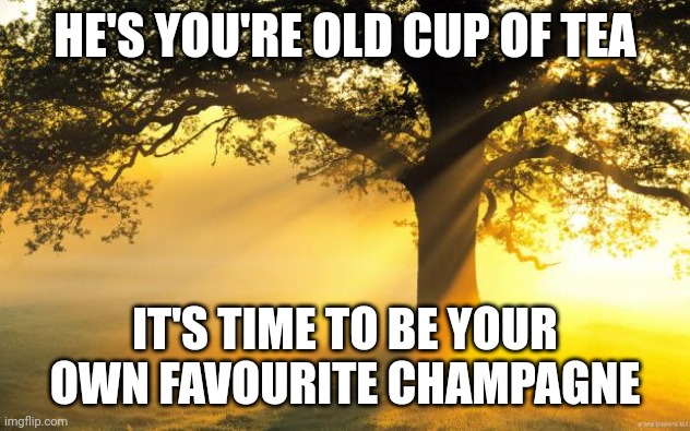After a break up | HE'S YOU'RE OLD CUP OF TEA; IT'S TIME TO BE YOUR OWN FAVOURITE CHAMPAGNE | image tagged in nature | made w/ Imgflip meme maker