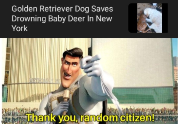 Golden Retriever hero | image tagged in thank you random citizen,dogs,dog,memes,deer,hero | made w/ Imgflip meme maker