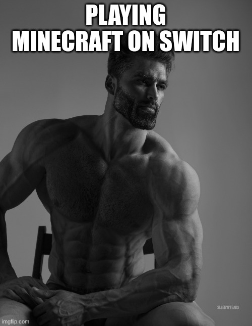 Giga Chad | PLAYING MINECRAFT ON SWITCH | image tagged in giga chad | made w/ Imgflip meme maker