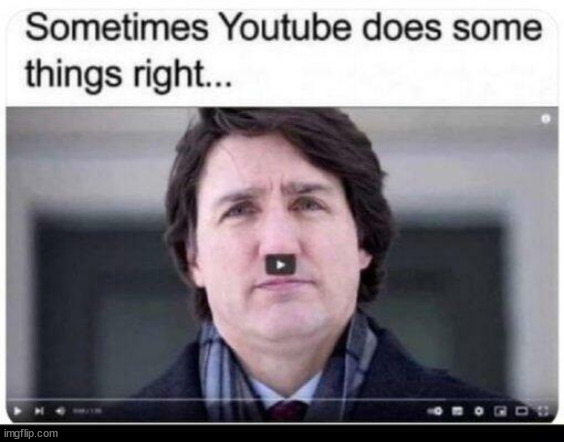 Youtube gets Trudeau right... | image tagged in youtube,justin trudeau,nazi | made w/ Imgflip meme maker