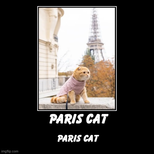 Paris Cat | paris cat | paris cat | image tagged in funny,demotivationals,cats,paris | made w/ Imgflip demotivational maker
