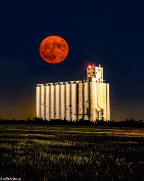 Harvest Moon | image tagged in awesome,pictures,harvest,moon | made w/ Imgflip meme maker