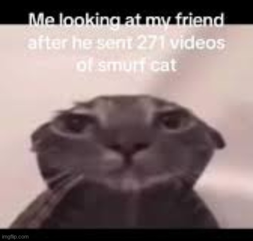 bruh | image tagged in smurf,funny,meme,memes,fun | made w/ Imgflip meme maker