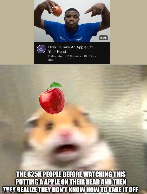 Random meme I made | THE 625K PEOPLE BEFORE WATCHING THIS PUTTING A APPLE ON THEIR HEAD AND THEN THEY REALIZE THEY DON’T KNOW HOW TO TAKE IT OFF | image tagged in scared hamster,apple,how to take a apple off your head,youtube,memes,error | made w/ Imgflip meme maker