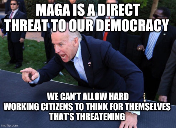 Democrats it’s OUR democracy | MAGA IS A DIRECT THREAT TO OUR DEMOCRACY; WE CAN’T ALLOW HARD WORKING CITIZENS TO THINK FOR THEMSELVES 
THAT’S THREATENING | image tagged in i paid for it,memes,facebook,truth | made w/ Imgflip meme maker