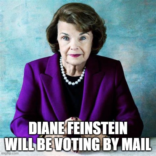 Diane Feinstein will be voting by mail | DIANE FEINSTEIN WILL BE VOTING BY MAIL | image tagged in diane feinstein,dead voters | made w/ Imgflip meme maker
