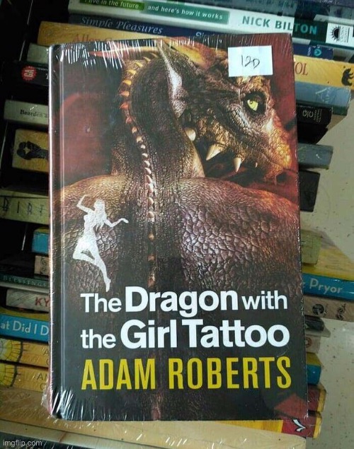 The dragon | image tagged in fake book,dragon with,girl tattoo,book store,fake products | made w/ Imgflip meme maker