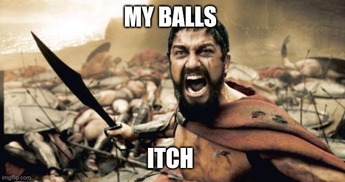 That's me when they itch | MY BALLS; ITCH | image tagged in memes,sparta leonidas | made w/ Imgflip meme maker