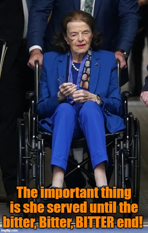 The important thing is she served until the bitter, Bitter, BITTER end! | image tagged in dianne feinstein,term limits,government corruption | made w/ Imgflip meme maker