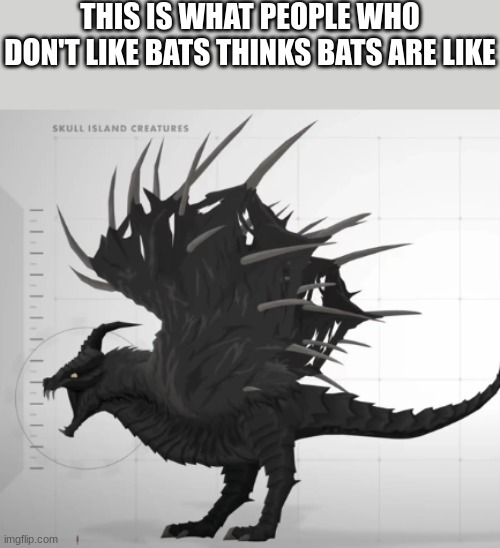 THIS IS WHAT PEOPLE WHO DON'T LIKE BATS THINKS BATS ARE LIKE | made w/ Imgflip meme maker