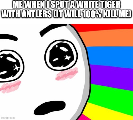 pwetty kitty cat | ME WHEN I SPOT A WHITE TIGER WITH ANTLERS (IT WILL 100% KILL ME) | image tagged in amazing | made w/ Imgflip meme maker