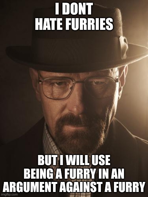 Walter White | I DONT HATE FURRIES; BUT I WILL USE BEING A FURRY IN AN ARGUMENT AGAINST A FURRY | image tagged in walter white | made w/ Imgflip meme maker