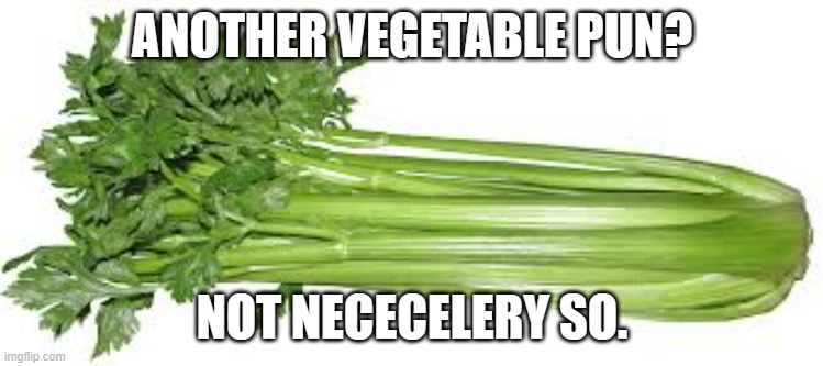 meme by Brad celery | ANOTHER VEGETABLE PUN? NOT NECECELERY SO. | image tagged in vegetables | made w/ Imgflip meme maker