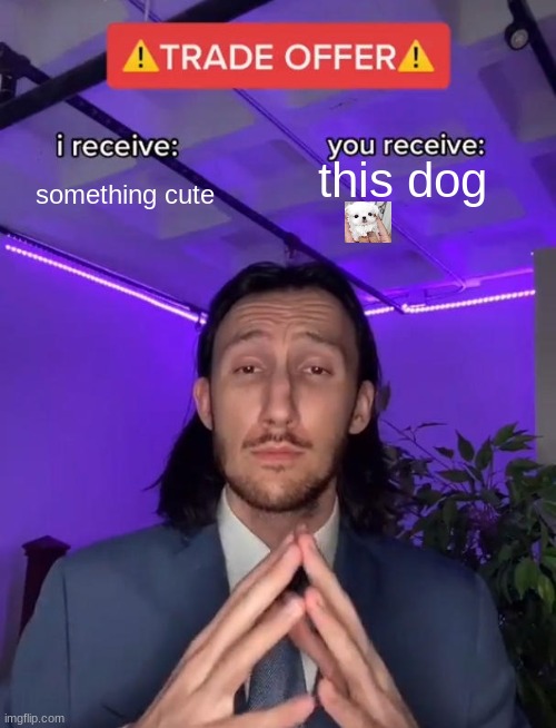 Do you accept? | this dog; something cute | image tagged in trade offer | made w/ Imgflip meme maker