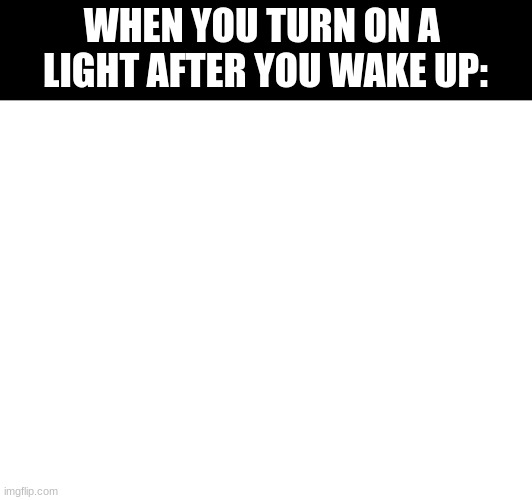 ooooooh i'm blinded by the lights | WHEN YOU TURN ON A  LIGHT AFTER YOU WAKE UP: | image tagged in sleep,waking up,light | made w/ Imgflip meme maker