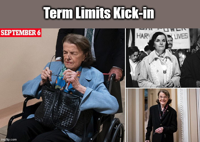 No Amendment Required | Term Limits Kick-in | image tagged in term limits,dianne feinstein,dementia | made w/ Imgflip meme maker