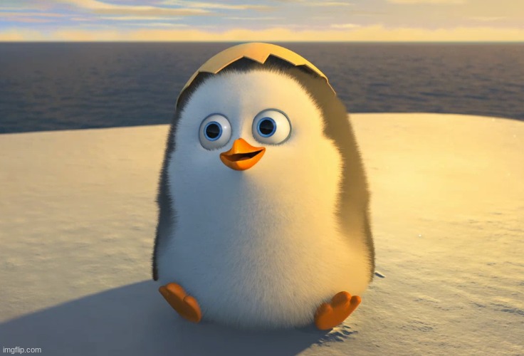 The penguins of Madagascar | image tagged in the penguins of madagascar | made w/ Imgflip meme maker