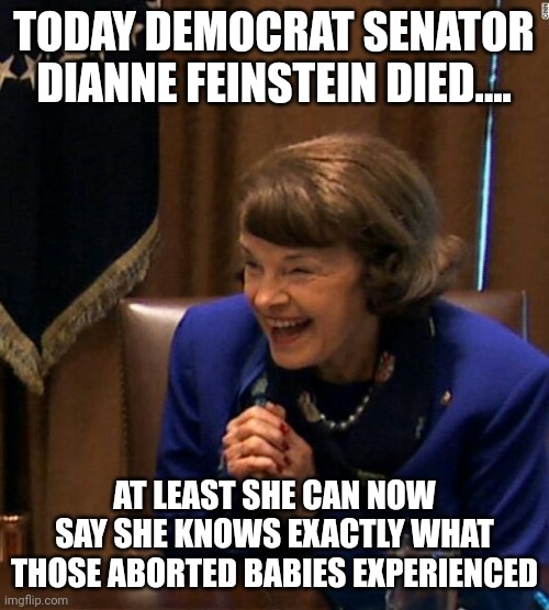 Rabid pro-abortion Senator is aborted. Hey, lead by example right? | TODAY DEMOCRAT SENATOR DIANNE FEINSTEIN DIED.... AT LEAST SHE CAN NOW SAY SHE KNOWS EXACTLY WHAT THOSE ABORTED BABIES EXPERIENCED | image tagged in dianne feinstein shlomo hand rubbing,abortion,liberal logic,planned parenthood,future | made w/ Imgflip meme maker