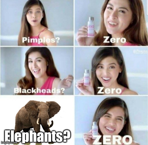 Pimples, Zero! | Elephants? | image tagged in pimples zero | made w/ Imgflip meme maker