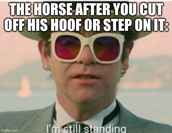 (they feel no pain in their hoofs) | THE HORSE AFTER YOU CUT OFF HIS HOOF OR STEP ON IT: | image tagged in im still standing | made w/ Imgflip meme maker