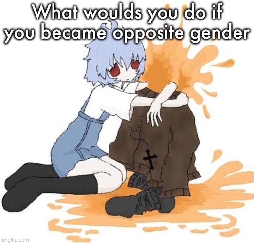 H | What woulds you do if you became opposite gender | image tagged in rei | made w/ Imgflip meme maker