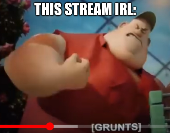 This stream irl Blank Meme Template