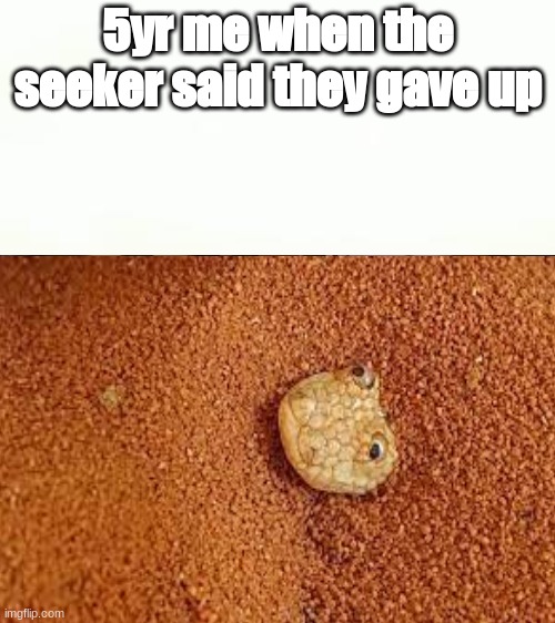 lol | 5yr me when the seeker said they gave up | image tagged in funny memes | made w/ Imgflip meme maker