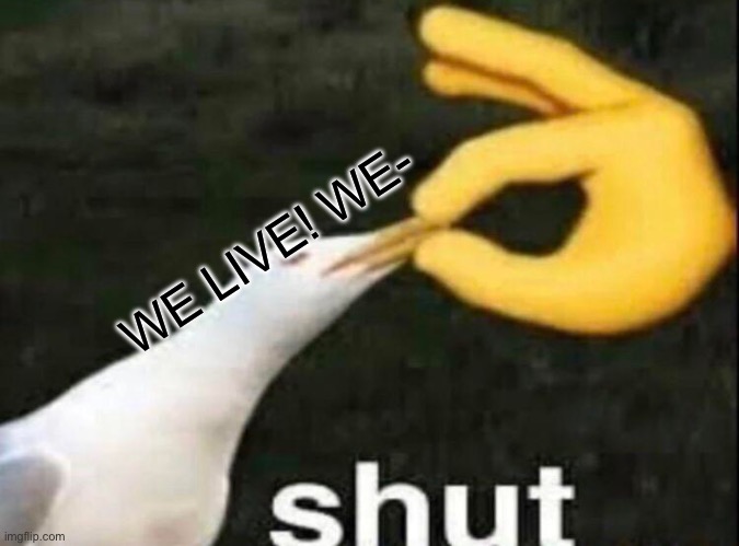 SHUT | WE LIVE! WE- | image tagged in shut | made w/ Imgflip meme maker