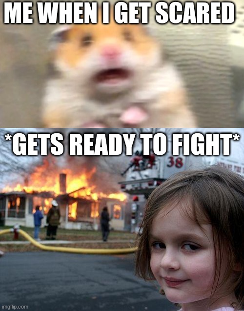 ME WHEN I GET SCARED; *GETS READY TO FIGHT* | image tagged in hampster,memes,disaster girl | made w/ Imgflip meme maker