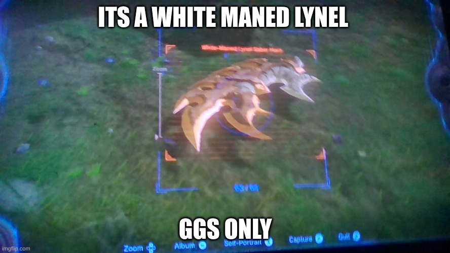 ITS A WHITE MANED LYNEL; GGS ONLY | image tagged in legend of zelda,tears | made w/ Imgflip meme maker