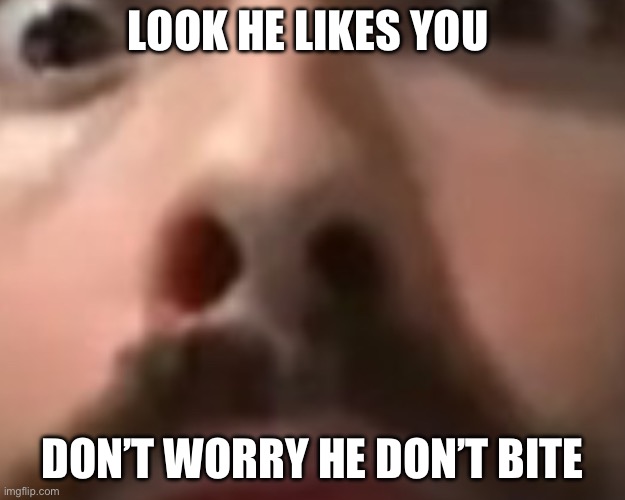 He just sniffing | LOOK HE LIKES YOU; DON’T WORRY HE DON’T BITE | image tagged in close up moist | made w/ Imgflip meme maker