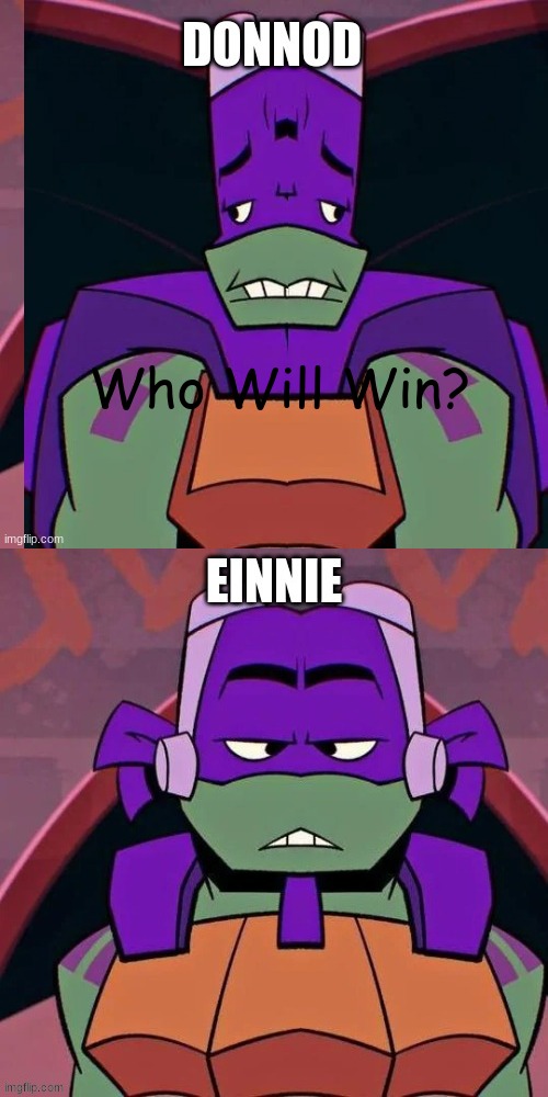 Who Will Win? | Who Will Win? | image tagged in teenage mutant ninja turtles | made w/ Imgflip meme maker