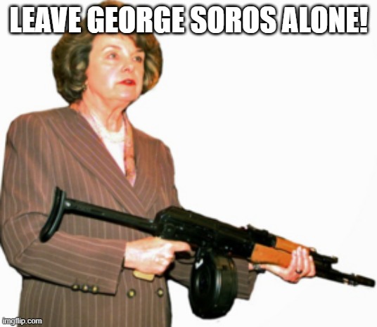 Dianne Feinstein | LEAVE GEORGE SOROS ALONE! | image tagged in dianne feinstein | made w/ Imgflip meme maker