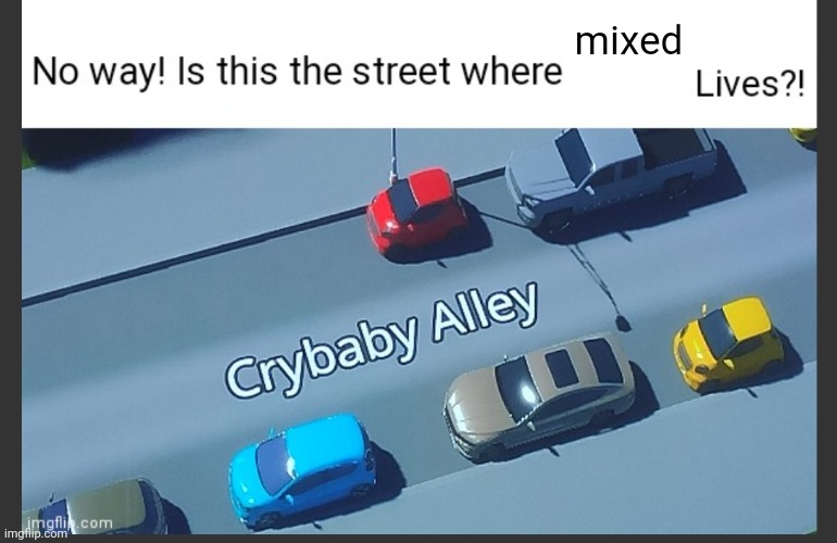 Is this the street where blank lives | mixed | image tagged in is this the street where blank lives | made w/ Imgflip meme maker