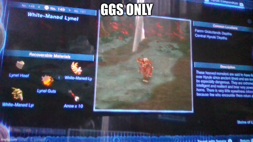 GGS ONLY | image tagged in legend of zelda,tears | made w/ Imgflip meme maker