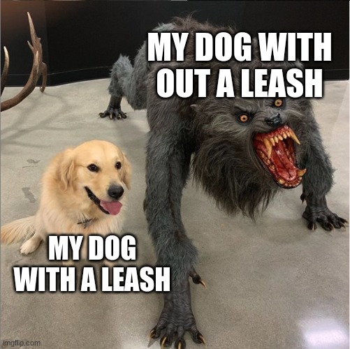 dog vs werewolf | MY DOG WITHOUT A LEASH; MY DOG WITH A LEASH | image tagged in dog vs werewolf | made w/ Imgflip meme maker