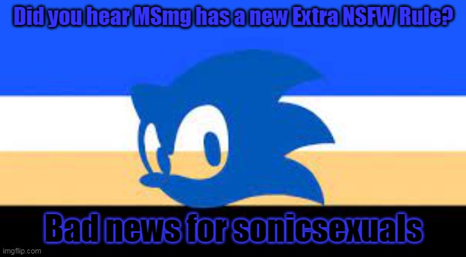 Public Service Announcement | Did you hear MSmg has a new Extra NSFW Rule? Bad news for sonicsexuals | image tagged in sonic the hedgehog,sonic says | made w/ Imgflip meme maker