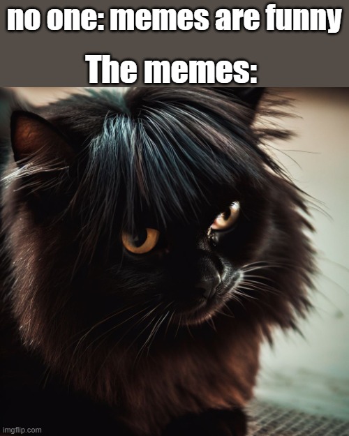 EMOCAT | The memes:; no one: memes are funny | image tagged in memes,funny,cats,custom template | made w/ Imgflip meme maker
