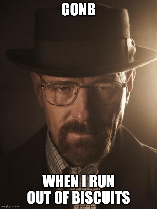 Walter White | GONB; WHEN I RUN OUT OF BISCUITS | image tagged in walter white | made w/ Imgflip meme maker