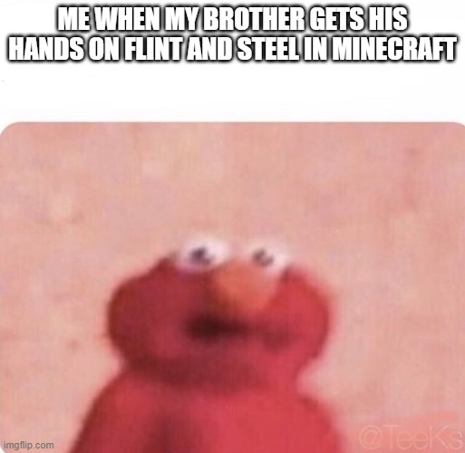 ever wonder why i only play survival mode with brother | ME WHEN MY BROTHER GETS HIS HANDS ON FLINT AND STEEL IN MINECRAFT | image tagged in shook elmo | made w/ Imgflip meme maker