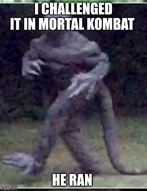 Lizard man | I CHALLENGED IT IN MORTAL KOMBAT; HE RAN | image tagged in mortal kombat | made w/ Imgflip meme maker