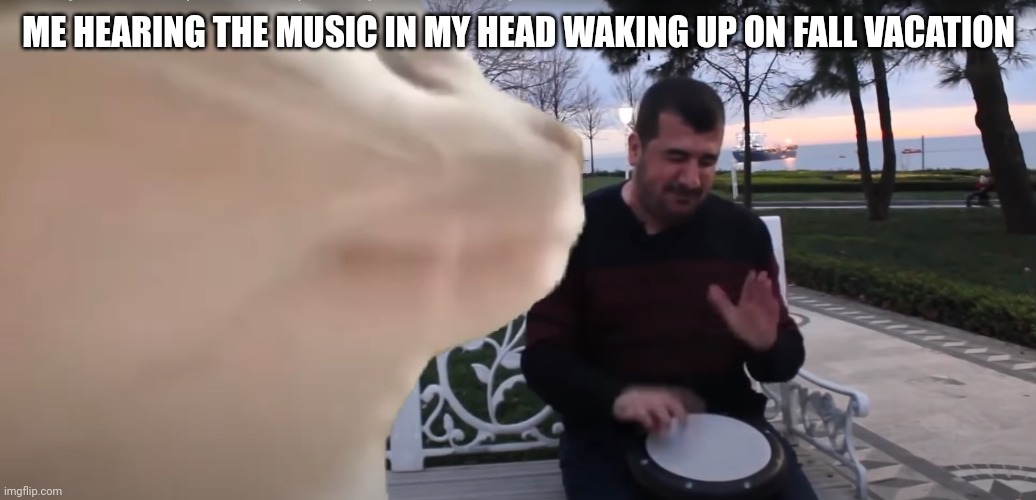 For real though | ME HEARING THE MUSIC IN MY HEAD WAKING UP ON FALL VACATION | image tagged in cat vibing to ievan polkka cat meme vibing music | made w/ Imgflip meme maker