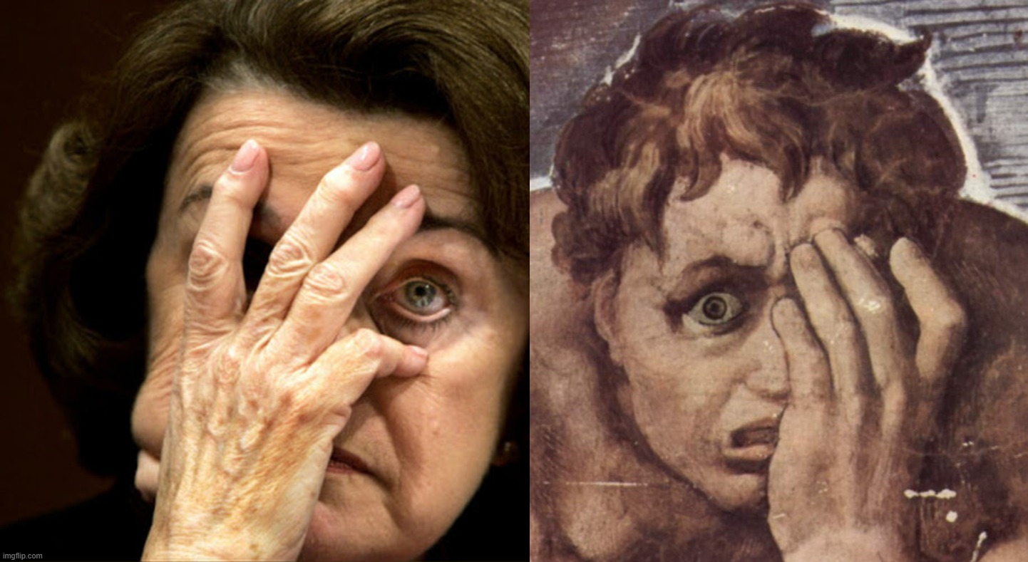 The Damned Soul . . . Life Imitates Art? | image tagged in dianne feinstein,game over,bye bye,you have forfeited your life privileges | made w/ Imgflip meme maker