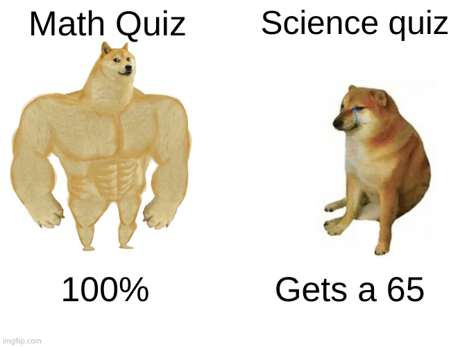 Buff Doge vs. Cheems | Math Quiz; Science quiz; 100%; Gets a 65 | image tagged in memes,buff doge vs cheems | made w/ Imgflip meme maker
