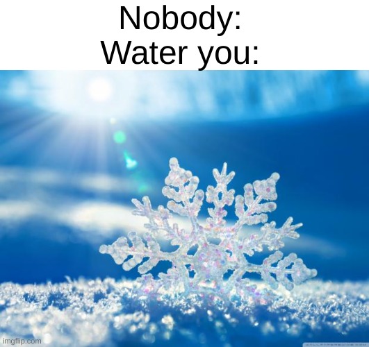 Nobody:
Water you: | image tagged in blank text bar,snowflake | made w/ Imgflip meme maker